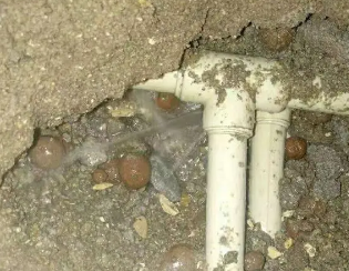 青川卫生间测漏
