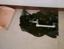 青川卫生间测漏水多少钱